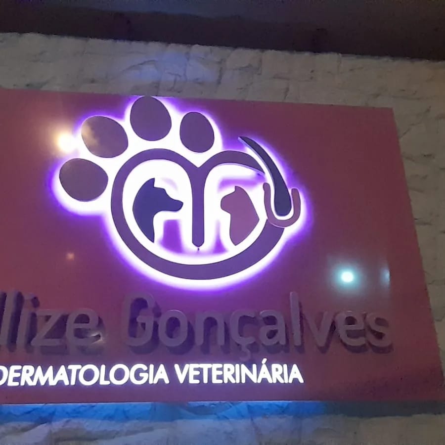 Letreiro da Llize Gonçalves Dermatologia Veterinária em letra caixa com iluminação backlight roxa